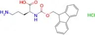 (S)-2-((((9H-Fluoren-9-yl)methoxy)carbonyl)amino)-5-aminopentanoic acid hydrochloride