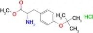 H-Tyr(tBu)-Ome HCl