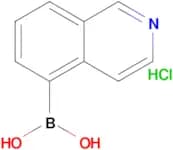 Isoquinolin-5-ylboronic acid hydrochloride