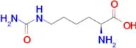 L-Homocitrulline