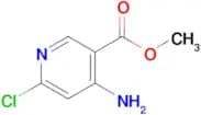 Methyl 4-amino-6-chloronicotinate