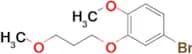 4-Bromo-1-methoxy-2-(3-methoxypropoxy)benzene