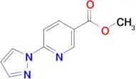 Methyl 6-(1H-pyrazol-1-yl)nicotinate