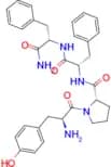 Endomorphin 2