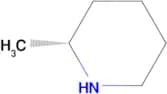 (R)-2-Methylpiperidine