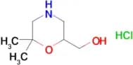 (6,6-DIMETHYLMORPHOLIN-2-YL)METHANOL HCL