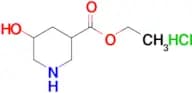 ETHYL 5-HYDROXYPIPERIDINE-3-CARBOXYLATE HCL