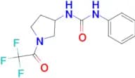 1-PHENYL-3-(1-(2,2,2-TRIFLUOROACETYL)PYRROLIDIN-3-YL)UREA