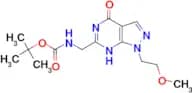 TERT-BUTYL (1-(2-METHOXYETHYL)-4-OXO-4,5-DIHYDRO-1H-PYRAZOLO[3,4-D]PYRIMIDIN-6-YL)METHYLCARBAMATE