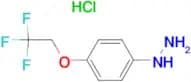 1-(4-(2,2,2-TRIFLUOROETHOXY)PHENYL)HYDRAZINE HCL