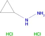 1-CYCLOPROPYLHYDRAZINE 2HCL