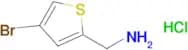 (4-Bromothiophen-2-yl)methanamine hydrochloride
