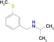 N-[3-(methylthio)benzyl]propan-2-amine