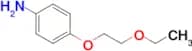 4-(2-Ethoxyethoxy)aniline