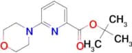 Tert-Butyl 6-morpholin-4-ylpyridine-2-carboxylate