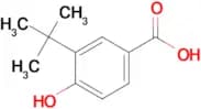 3-(tert-Butyl)-4-hydroxybenzoic acid