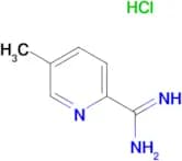 5-Methylpicolinimidamide hydrochloride