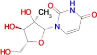2'-C-Methyluridine