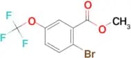 Methyl 2-bromo-5-(trifluoromethoxy)benzoate