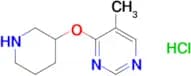 5-Methyl-4-(piperidin-3-yloxy)pyrimidinehydrochloride