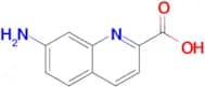 7-AMINOQUINOLINE-2-CARBOXYLIC ACID