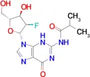 N2-ISOBUTYRYL-2'-FLUORO-2'-DEOXYGUANOSINE