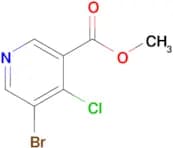 Methyl 5-bromo-4-chloronicotinate