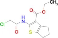 2-(2-Chloro-acetylamino)-5,6-dihydro-4H-cyclopenta[b]thiophene-3-carboxylic acid ethyl ester