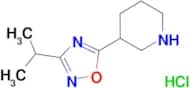 3-(3-isopropyl-1,2,4-oxadiazol-5-yl)piperidine hydrochloride