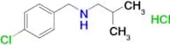 N-(4-chlorobenzyl)-2-methyl-1-propanamine hydrochloride