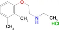 [2-(2,3-dimethylphenoxy)ethyl]ethylamine hydrochloride
