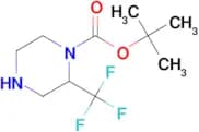 Tert-Butyl 2-(trifluoromethyl)piperazine-1-carboxylate