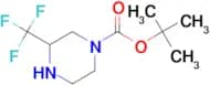 Tert-Butyl 3-(trifluoromethyl)piperazine-1-carboxylate