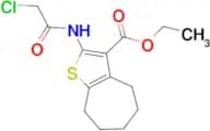 Ethyl 2-[(chloroacetyl)amino]-5,6,7,8-tetrahydro-4H-cyclohepta[b]thiophene-3-carboxylate