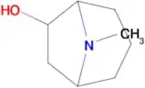 8-METHYL-8-AZABICYCLO[3.2.1]OCTAN-6-OL