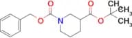 N-CBZ-3-PIPERIDINECARBOXYLIC ACID T-BUTYL ESTER