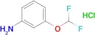 3-(difluoromethoxy)aniline