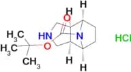 Tert-butyl rac-(1R,2S,6R,7S)-4,10-diazatricyclo[5.2.1.0~2,6~]decane-10-carboxylate hydrochloride