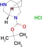 Tert-butyl rac-(1S,5R)-3,9-diazabicyclo[3.3.2]decane-9-carboxylate hydrochloride