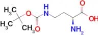 (S)-2-Amino-4-((tert-butoxycarbonyl)amino)butanoic acid