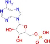 Adenosine 5'-monophosphate