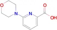 6-Morpholinopicolinic acid
