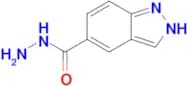 1H-Indazole-5-carbohydrazide