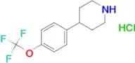4-(4-(Trifluoromethoxy)phenyl)piperidine hydrochloride