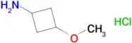 3-Methoxycyclobutanamine hydrochloride