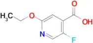 2-ETHOXY-5-FLUOROISONICOTINIC ACID