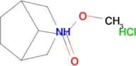 METHYL 3-AZABICYCLO[3.2.1]OCTANE-8-CARBOXYLATE HCL