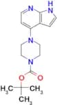 TERT-BUTYL 4-(1H-PYRROLO[2,3-B]PYRIDIN-4-YL)PIPERAZINE-1-CARBOXYLATE