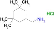 (3,3,5,5-TETRAMETHYLCYCLOHEXYL)METHANAMINE HCL