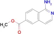 METHYL 1-AMINOISOQUINOLINE-6-CARBOXYLATE